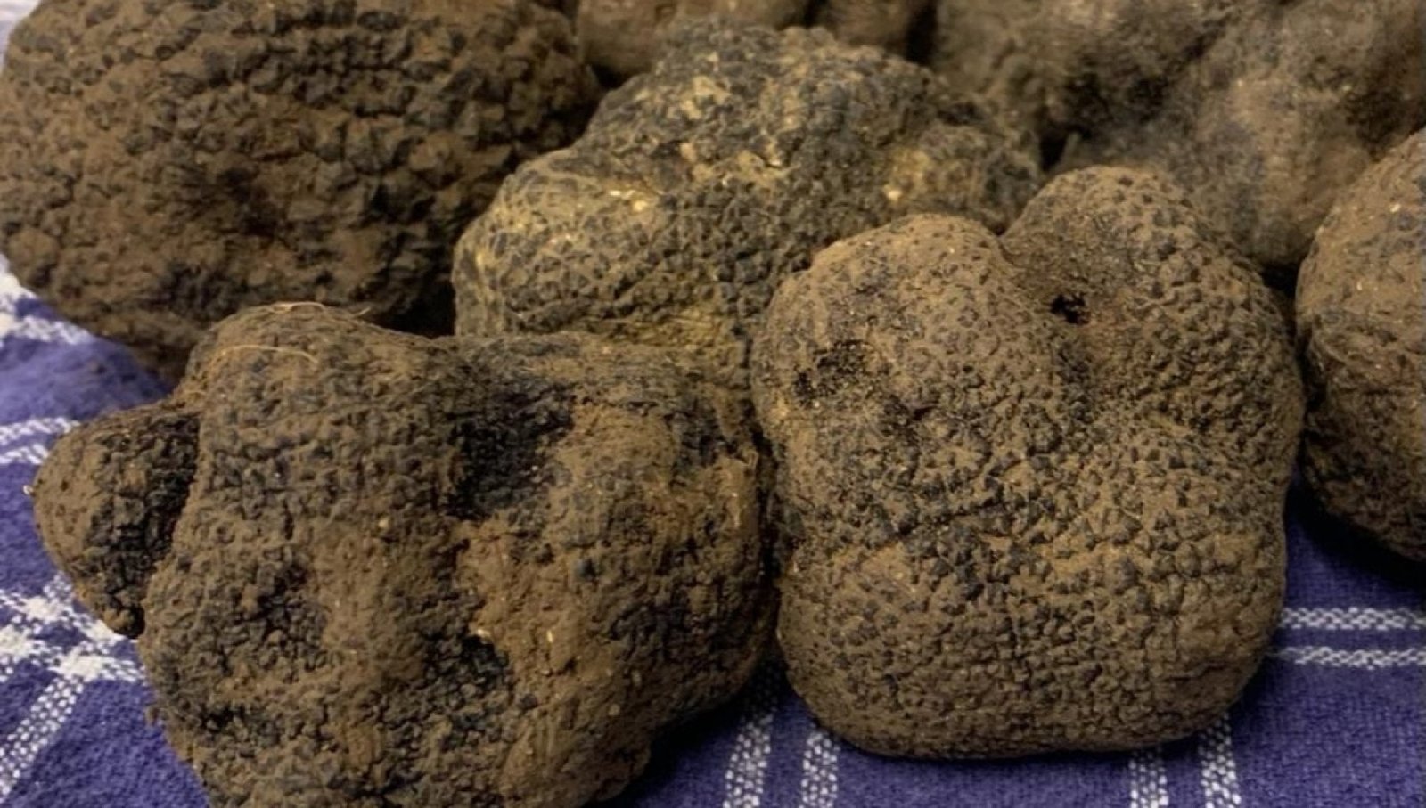 Alessandria e Provincia: il cuore del tartufo piemontese